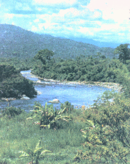Entra a la hermossima region Litoral del Ecuador
